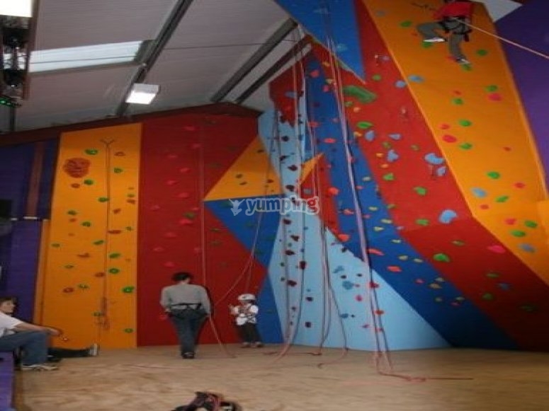 Wild Rock Climbing, prices and bookings 2024